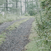 Gravel