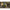 Thumbnail for Product image