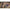 Thumbnail for Product image