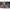 Thumbnail for Product image