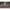 Thumbnail for Product image