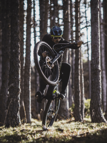 Panaracer mtb on sale
